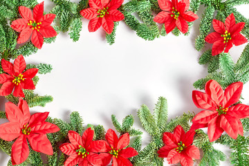 Christmas concept. the frame of fir branches decorated with red poinsettia flowers. top view, copy space