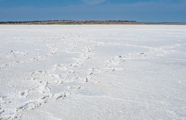 Fototapeta na wymiar Dried salt lake under the blue sky.