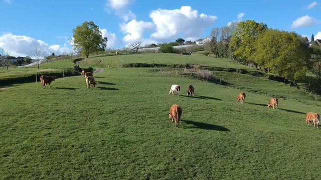 Allassac (Corr&egrave;ze, France) - Les trois villages - Vue a&eacute;rienne de la campagne limousine