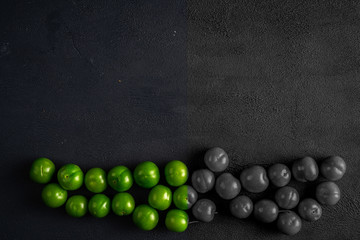 Green sour plum. Greengage on isolated on dark background. Colorful, black and white. Top view. Copy space for text message. Creative concept.