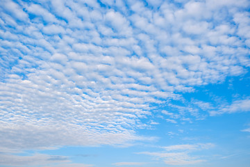 White cloudy with a blue  sky.Wave clouds on the sky.Fluffy cloud