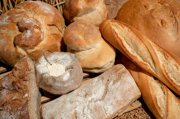 Assorted bread with wheat seeds and flour