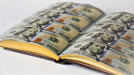 diary with pages of banknotes, one hundred dollar bills, notebook with money, business diary, profit concept, business plan
