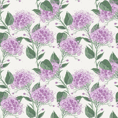 Hortensia Flowers Seamless Pattern. Hand Drawn Floral Background.