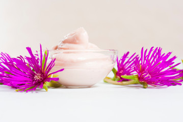 Cream and magenta flowers