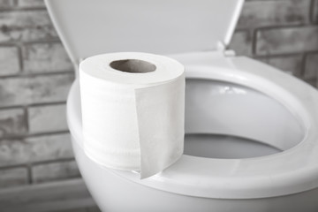 Toilet bowl and roll of paper in restroom