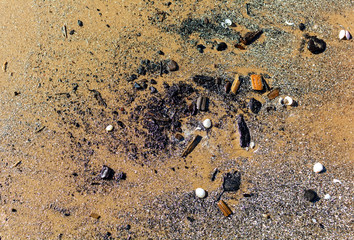 Texture of sea sand surface after low tide for background, top view. Wet sand on the beach after low tide, with shells, stones and sticks.