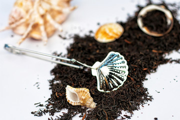 Dry Kenyan Kaimosi Tea herbs with seashells and tea strainer on white background. Selective focus.