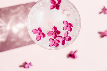 Beautiful vivid lilac flowers in crystal glass on pink background. 