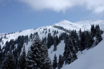  Ala-tau mountains Almaty Kazakhstan 2020