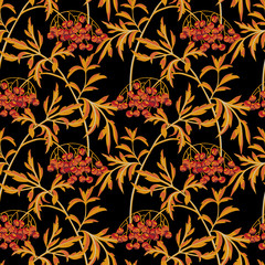 Black elderberry branch with berries and leaves on black background. Vector seamless pattern.