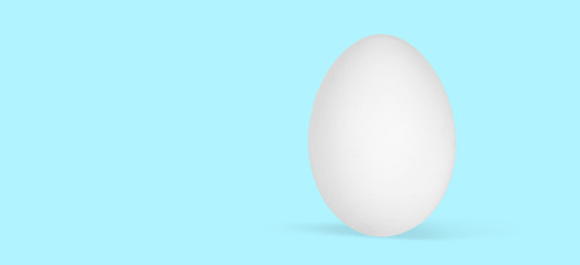 chicken egg isolated on blue background