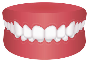 Teeth trouble ( bite type ) vector illustration  /Deep bite