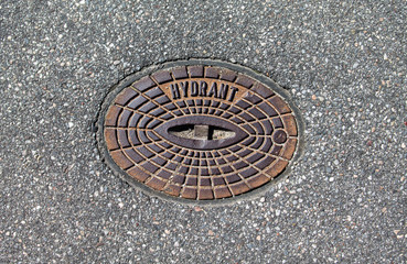 Asphalt with a cover for a fireplug