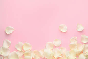 Fototapeta na wymiar Beautiful white rose petals on color background