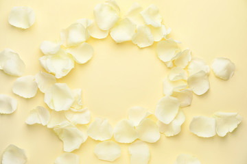 Beautiful white rose petals on color background
