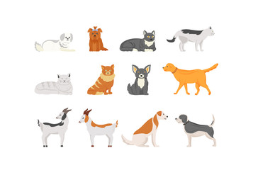 Domestic animals flat color vector characters set. Pet care. White goat with spots standing. Cute dog. Puppy lie. Cat sleeping.Pets isolated cartoon illustrations on white background