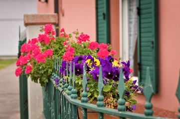 Fototapeta na wymiar A bouquet of violet, yellow and pink flowers in a vase on the railing (Pesaro, Italy, Europe)
