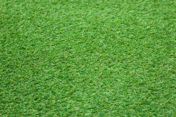 Close up of Green Grass Background, Center Focus Point