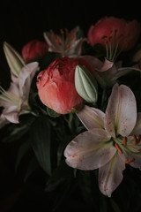 pink peonies and pink lily on black background
