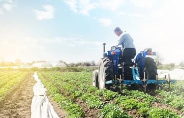 Farmer on a tractor with milling machine loosens, grinds and mixes soil. Farming and agriculture....