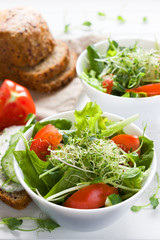 Micro greens salad with tomatoes, cucumber,  leaves mix salad .Healthy food background. Vegan food, diet food, healthy eating concept.