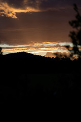 Green mountain in spring