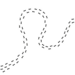Ant trail background. Walking or marching ants. Vector illustration.