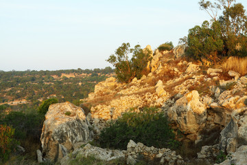 Naklejka premium Sea rocky coast of Cyprus. Green shrubs on rocky slopes. Meet the sunrise on the seashore. Landscape vacation. Beautiful tourism. Summer view. Wallpaper and background.