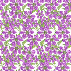 Creative composition with the image of garden flowers. Randomly located clematis on a white background. Pattern for fabric and wallpaper.