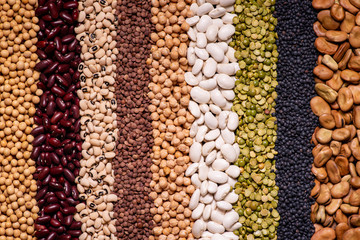 background seen from above with a large variety of dried legumes arranged in vertical rows