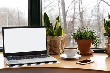 Laptop with empty screen on the office desk with coffee, phone and plants near window. Business and work in modern interior. Workspace and mock up.