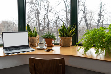 Modern office interior with laptop and empty screen with mock up near window.  Wooden office desk with cup of coffee, potted green plants and phone for work and business. Workspace and copy space. 