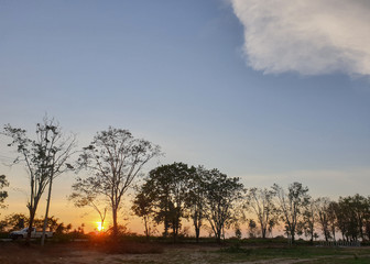 Naklejka premium The evening sky at sunset, the road has pickup trucks and trees beside