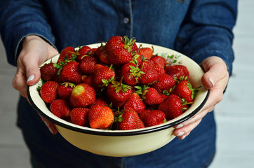 A woman in a blue shirt holding a metal bowl full of fresh strawberries