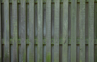 Fototapeta premium old green fence with texture as a background