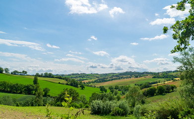 Fototapeta na wymiar Panorama dalle colline marchigiane