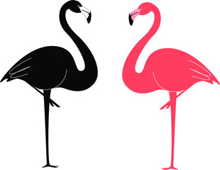 Flamingo birds black and pink. Vector illustration. 