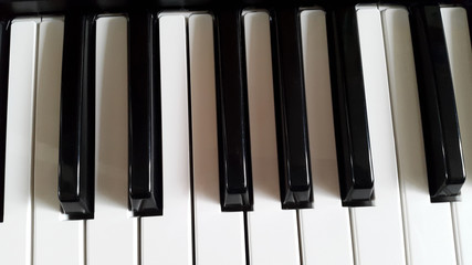 keyboard of the piano - white and black keys