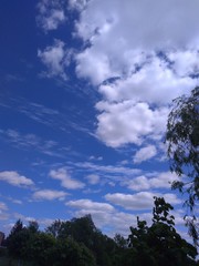 Obraz premium sky and clouds