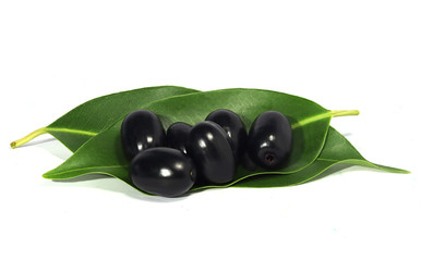 Jambolan plum, ripe fruit or Java plum fresh, placed on green leaves Purple Black Plum, Natural Light, Syzygium cumini, isolated on a white background