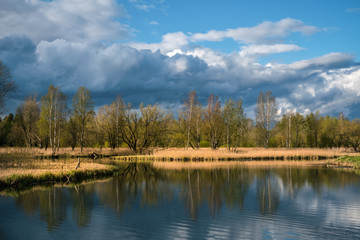 Russian spring landscape with reflections of trees in the lake