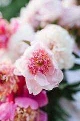 Bouquet of peonies. Bouquet of beautiful flowers. Beautiful peonies.