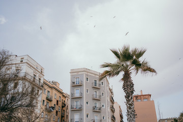 Barcelona Strandpromenade