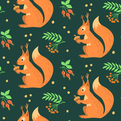 Contrast pattern with cute squirrel, which is holding an acorn. Branches of rose hip and rowan berries. Vector illustration.