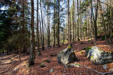 Wanderung Großer Riedelstein - Kaitersberg