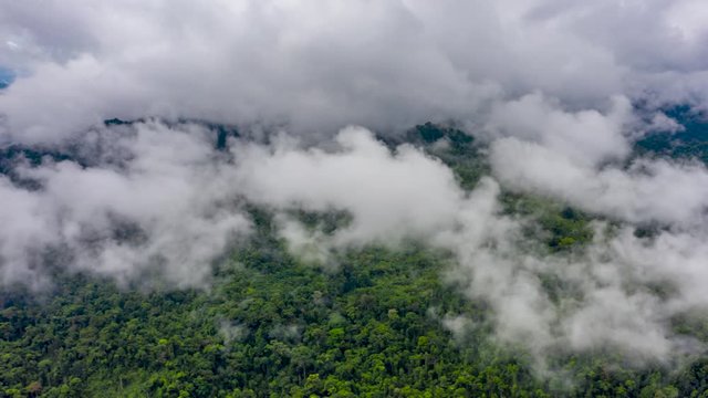 Aerial hyperlapse of clouds forming and moving over a dense tropical rainforest following a recent thunderstorm