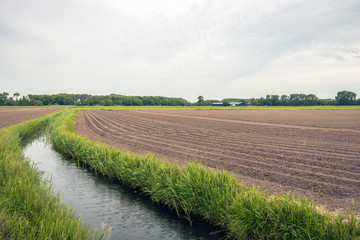 Fototapeta na wymiar Typical Dutch polder landscape in springtime.