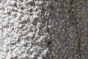 Pierre taillée texture