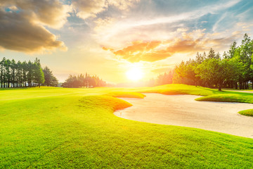Green grass and tree on the golf course.